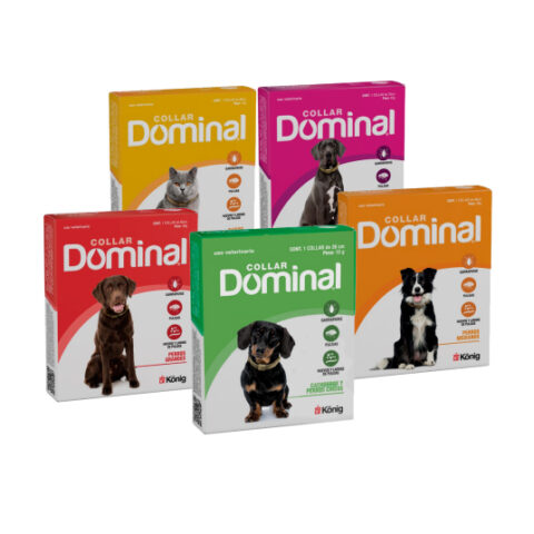 Dominal-Collar